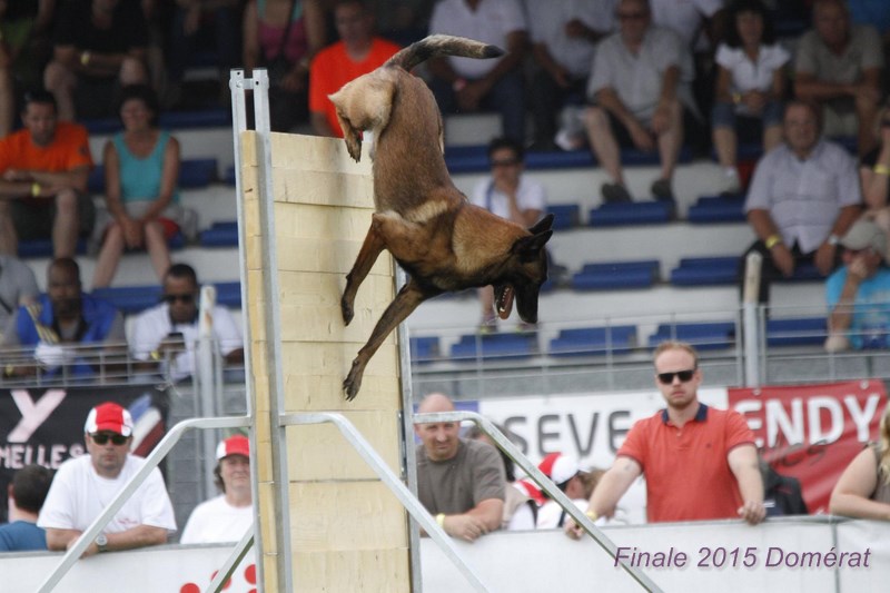 2015 domerat palissade1.jpg